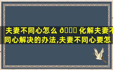 夫妻不同心怎么 🍁 化解夫妻不同心解决的办法,夫妻不同心要怎样能过一辈子